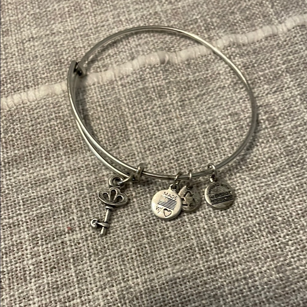 Alex and Ani Silver Charm Bracelet